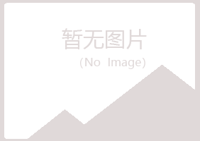 阳江江城夏岚服务有限公司